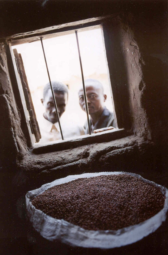 France 3, Artist Elodie Perriot,République Centrafricaine - Campement de Pygmées de Ngouma - 
Au coeur de la forêt équatoriale, les Pygmées Aka vivent en communion avec la nature. 
La déforestation massive, le pillage des ressources menacent leur survie. 
Le projet de la Caritas de M’Baiki consiste à promouvoir l’éducation par la scolarisation des enfants et favoriser l'accès aux soins de ce peuple qui, traditionnellement se soigne avec les plantes médicinales de la forêt.
Ici, le centre de santé du village, approvisionné tous les deux mois seulement, laisse le pharmacien pensif et les étagères vides...