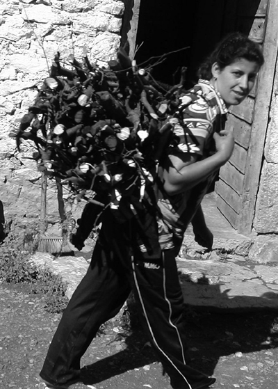 Albania, Artist: Luigj Mila, Title: Girl with firewood