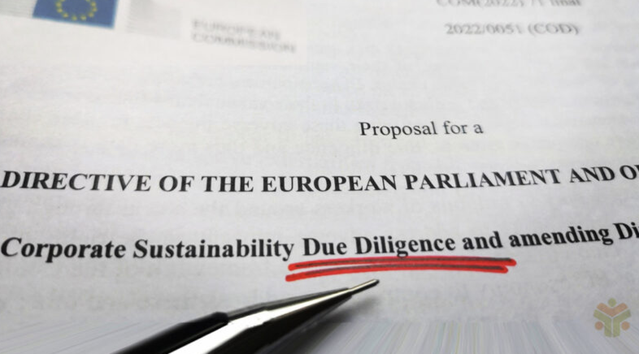“Rise to the occasion and ensure a strong EU Corporate Sustainability Due Diligence Directive”